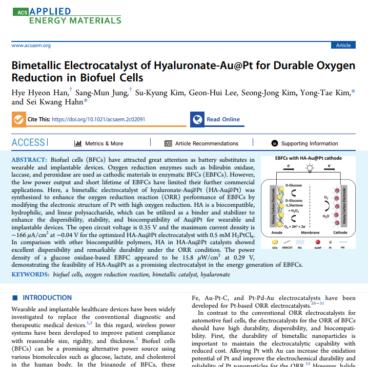 [130] ACS Appl. Energy Mater., 2022,  5, 10, 12475–12484