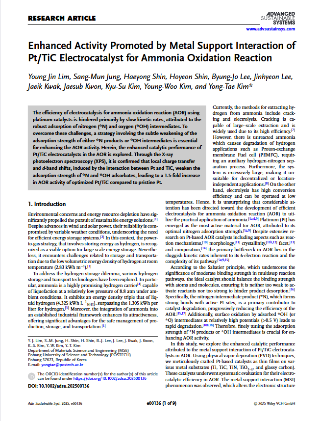[166] Adv. Sustain. Syst. 2025, e00136